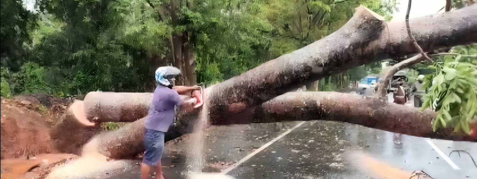 Heavy Rain Disrupts Traffic And Rail Services